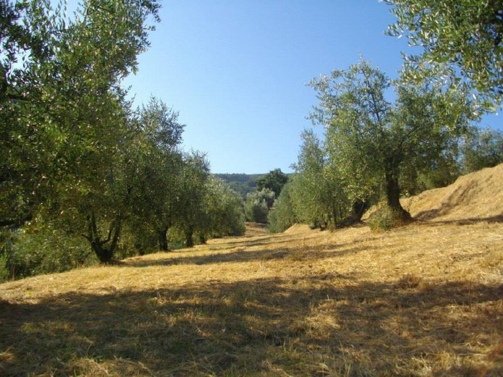 פיסטויה Agriturismo Terrarossa מראה חיצוני תמונה