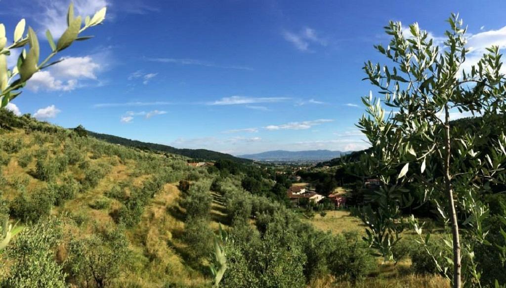 פיסטויה Agriturismo Terrarossa מראה חיצוני תמונה