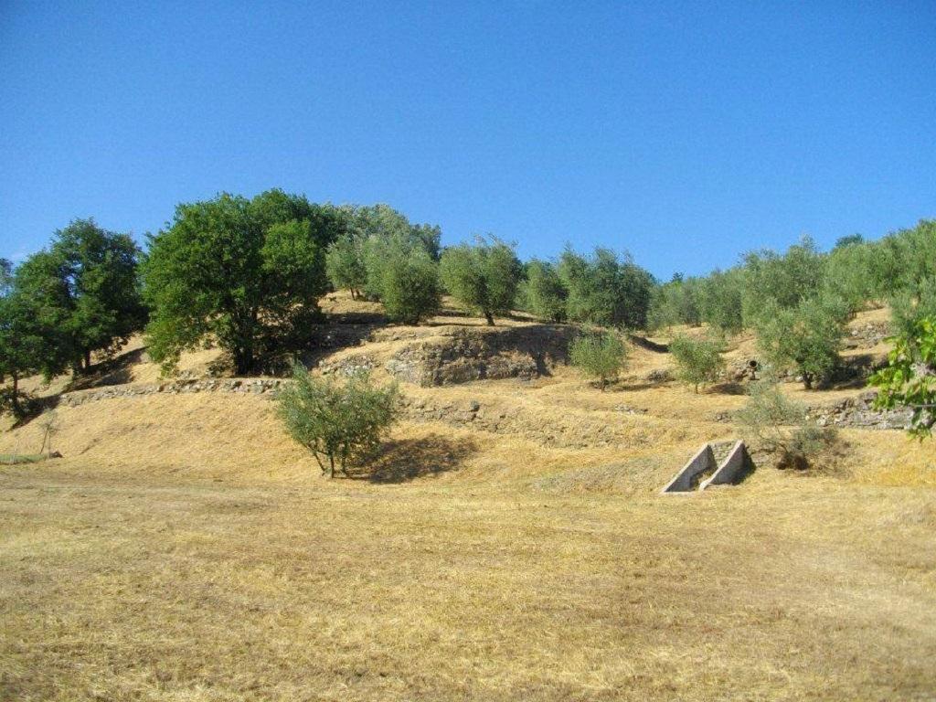 פיסטויה Agriturismo Terrarossa מראה חיצוני תמונה