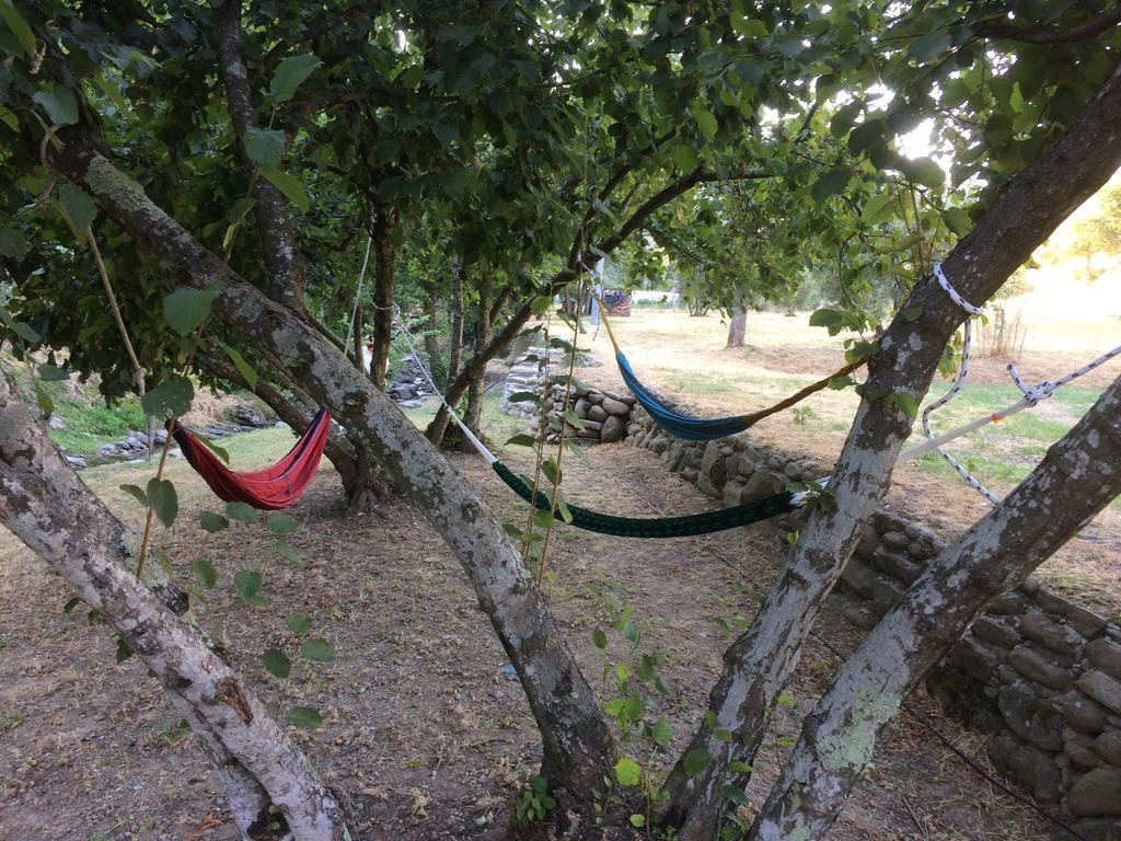 פיסטויה Agriturismo Terrarossa מראה חיצוני תמונה